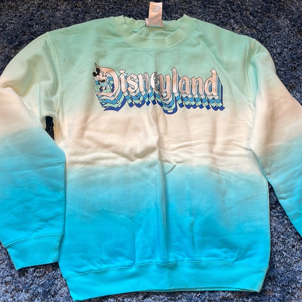 Disneyland blue pull over